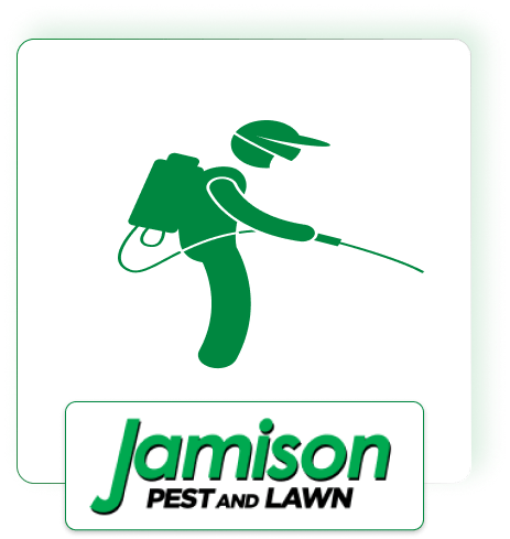 Four Season Pest Control Program