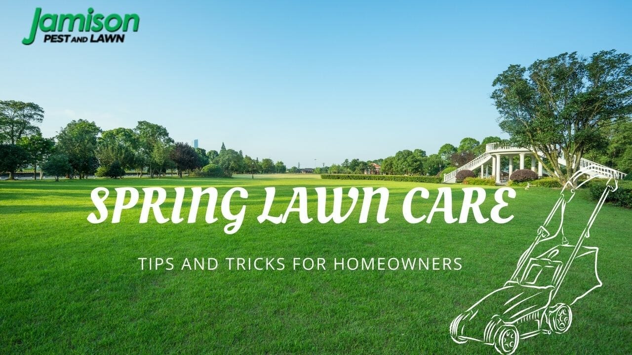 Spring Lawn Care: Tips And Tricks For Homeowners