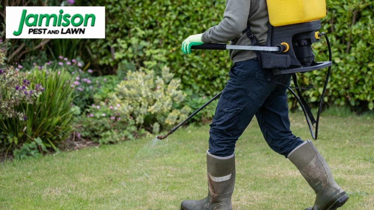What’s The Best Weed Killer For Lawns? 9 Options You Can Consider
