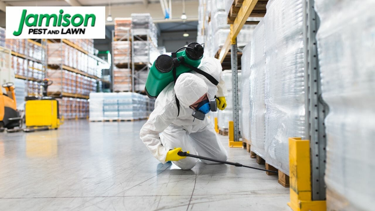 A Business Owner Guide To Commercial Pest Control