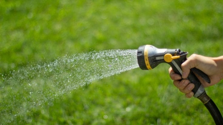 How long should you water your lawn