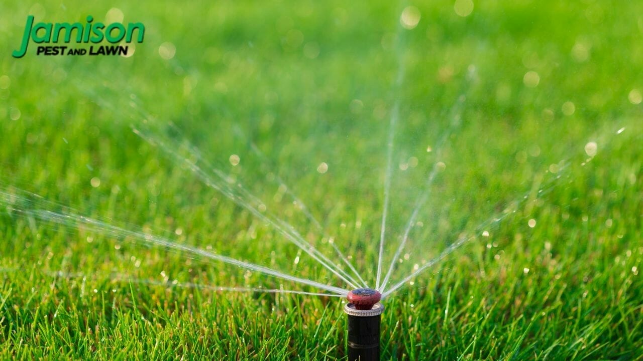How Long Should You Water Your Lawn? (And Other Tips)