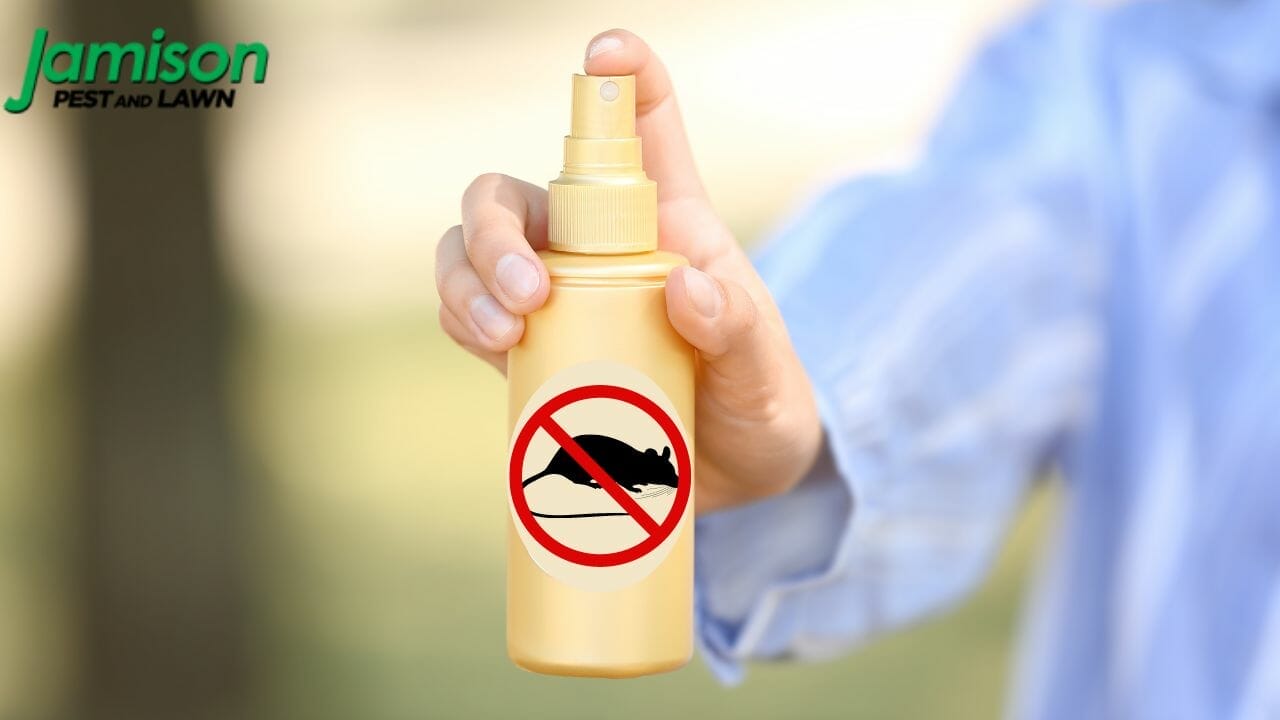 7 Best Rodent Repellents (Customer Reviews)