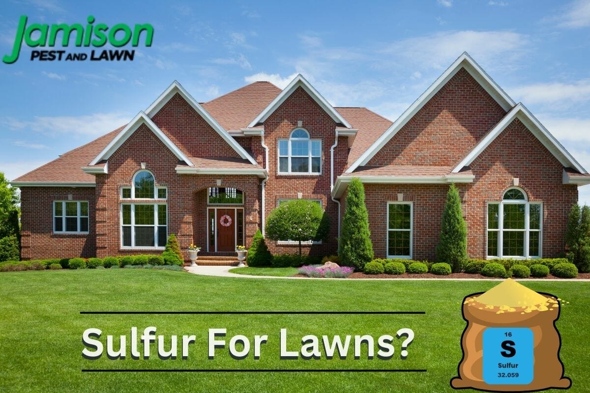 How Often Can I Apply Sulfur To My Lawn?