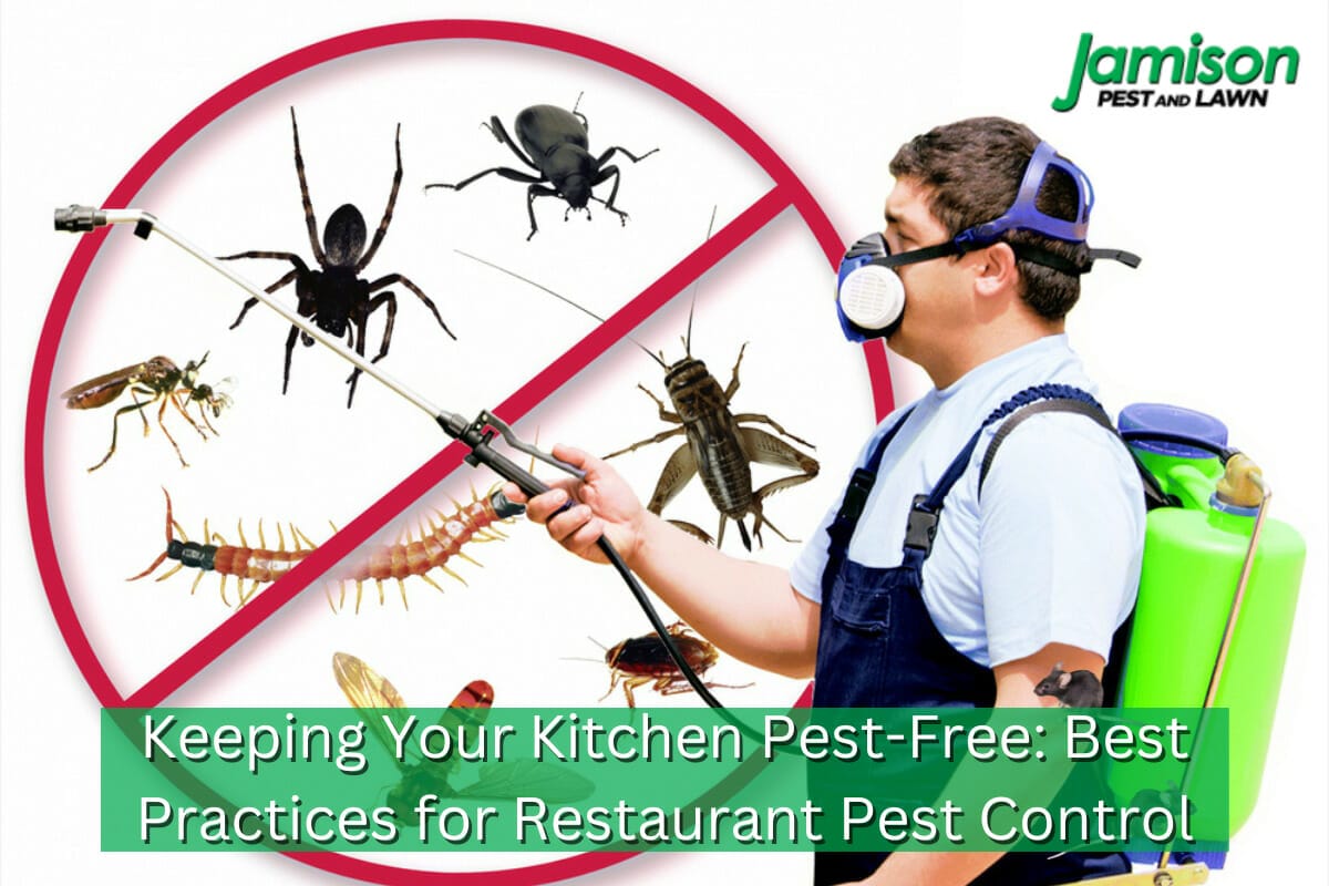 Keeping Your Kitchen Pest-Free: Best Practices for Restaurant Pest Control