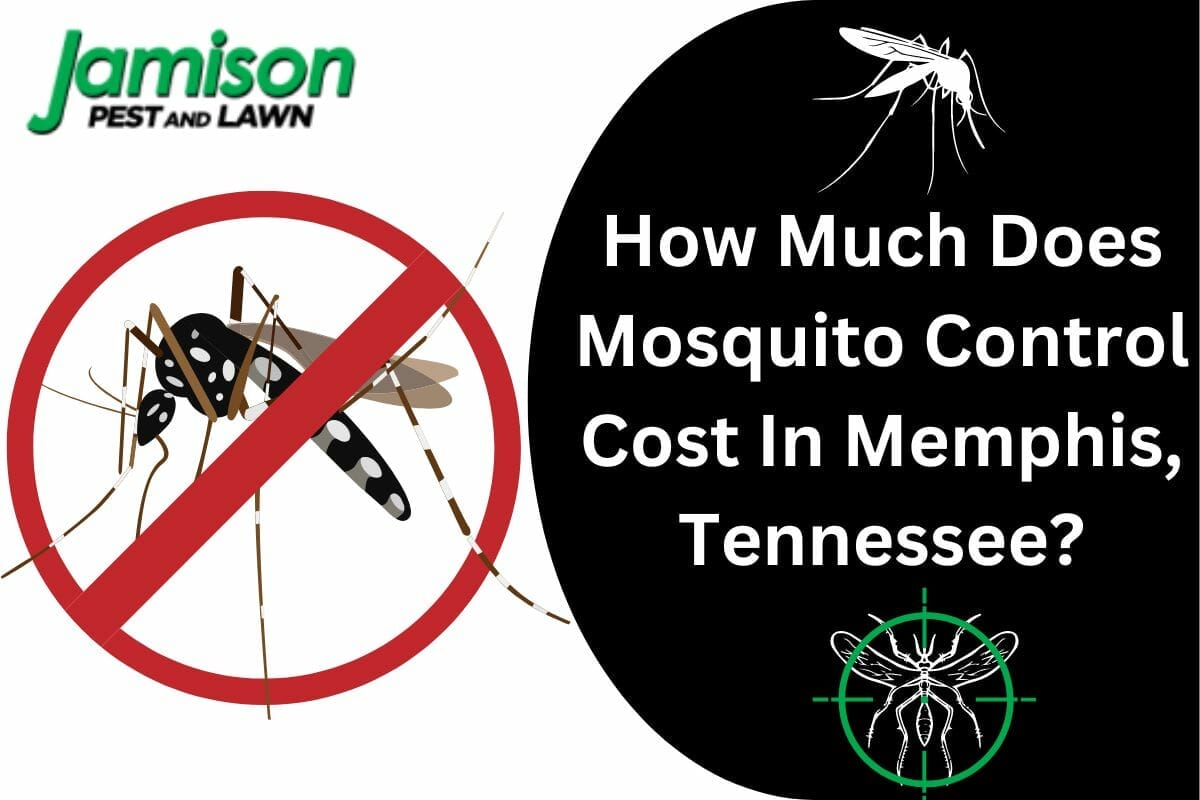 How Much Does Mosquito Control Cost In Memphis, Tennessee?