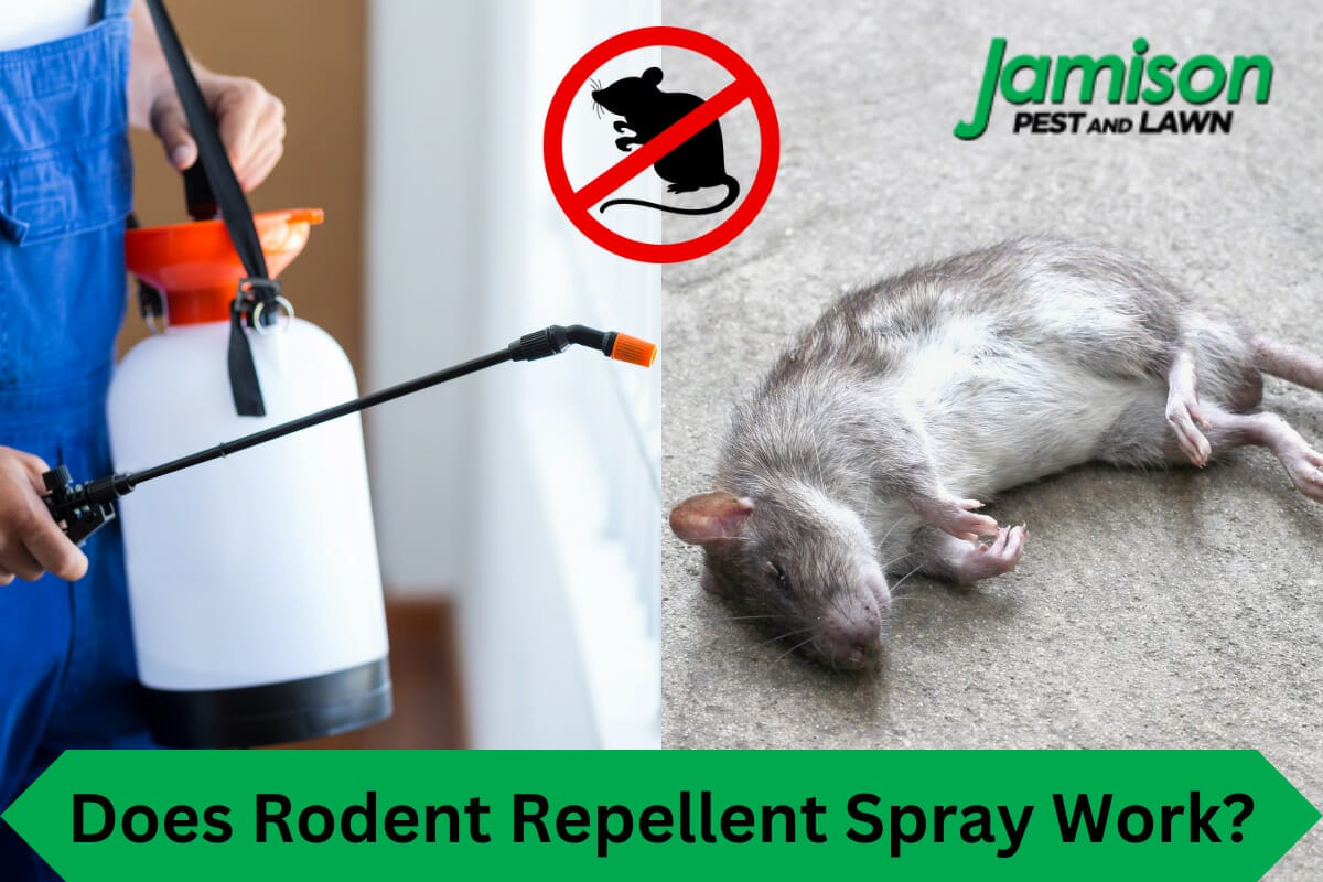 Does Rodent Repellent Spray Work? Honest Reviews From Homeowners