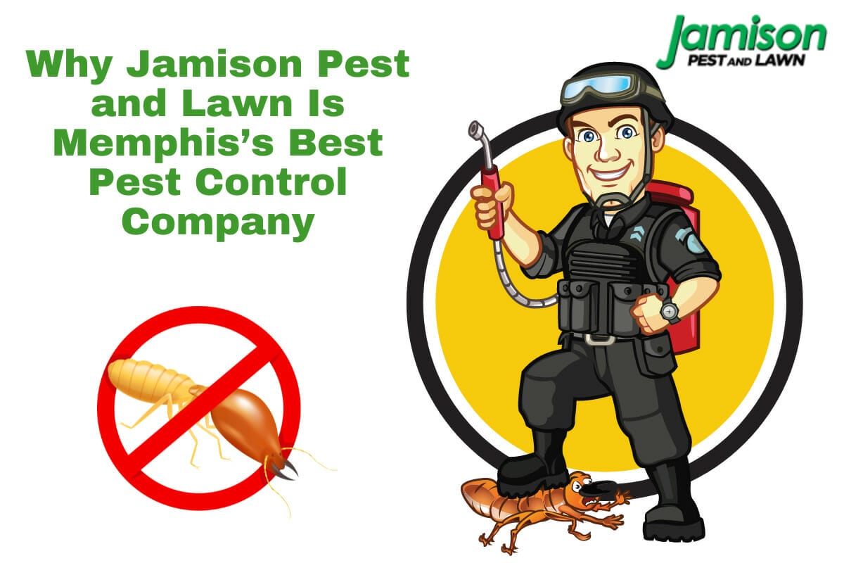 Why Jamison Pest and Lawn Is Memphis’s Best Pest Control Company